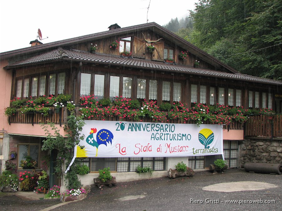 Mostacc 004.jpg - Gli splendidi gerani di Cati per il 20° anniversario da 'La Stala di Mustacc'